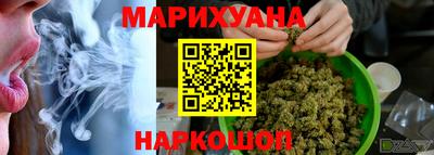сатива Лесосибирск