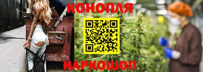 сатива Лесосибирск