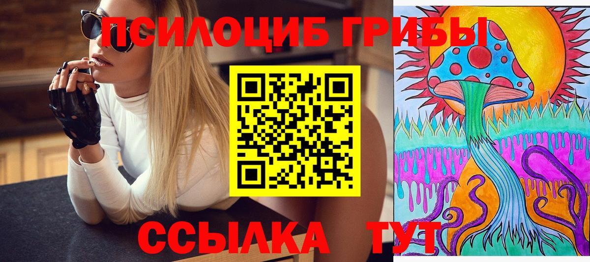 Псилоцибиновые грибы Psilocybe Шелехов