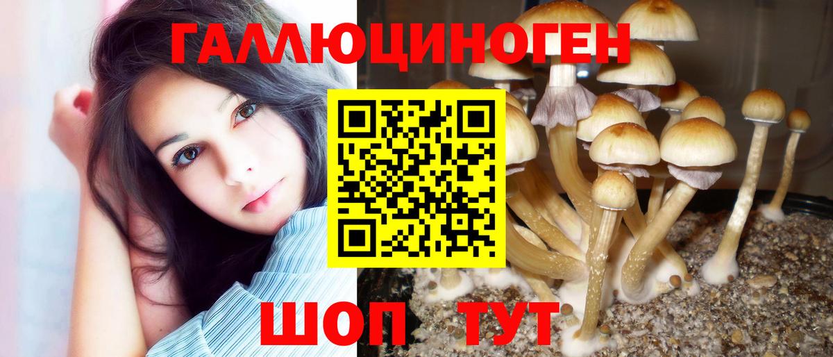 Шелехов  Галлюциногенные грибы Magic Shrooms  Вход с VPN 